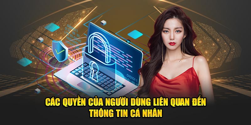 Quyền của người dùng liên quan đến dữ liệu cá nhân tại hệ thống